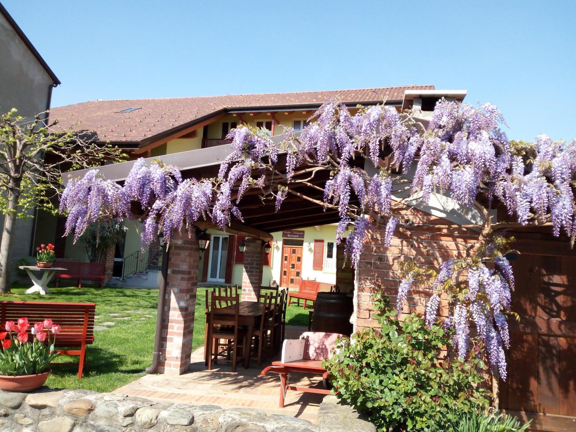 Locanda Vecchio Novecento Grosso Eksteriør billede